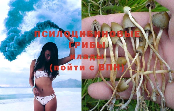 метамфетамин Каменск-Шахтинский