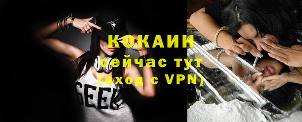 2c-b Каменка