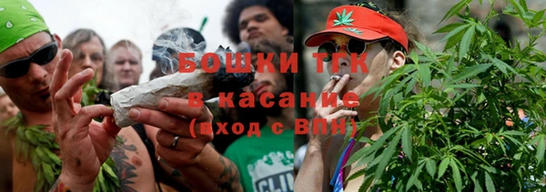 2c-b Каменка