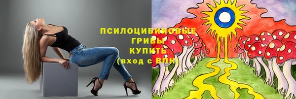 МДМА Каменногорск