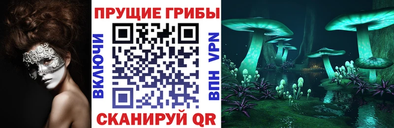Купить где  Чусовой  Псилоцибиновые грибы Magic Shrooms 