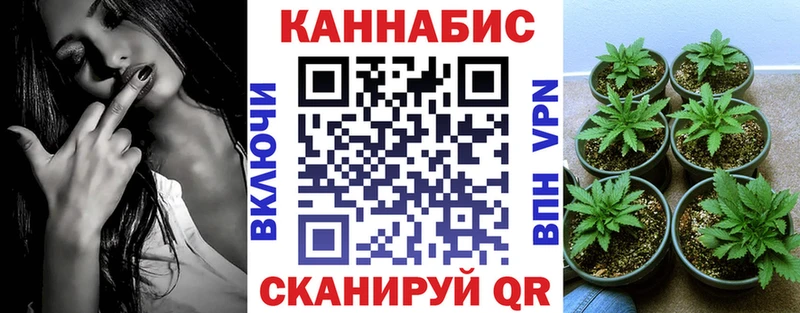 Каннабис сатива  Купить закладки  Чусовой 
